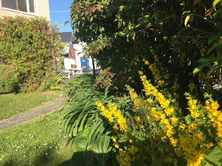 Lovely Family Near Holiday home *